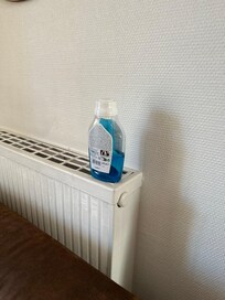 strong chemical used to cover unbearable smell in apt
