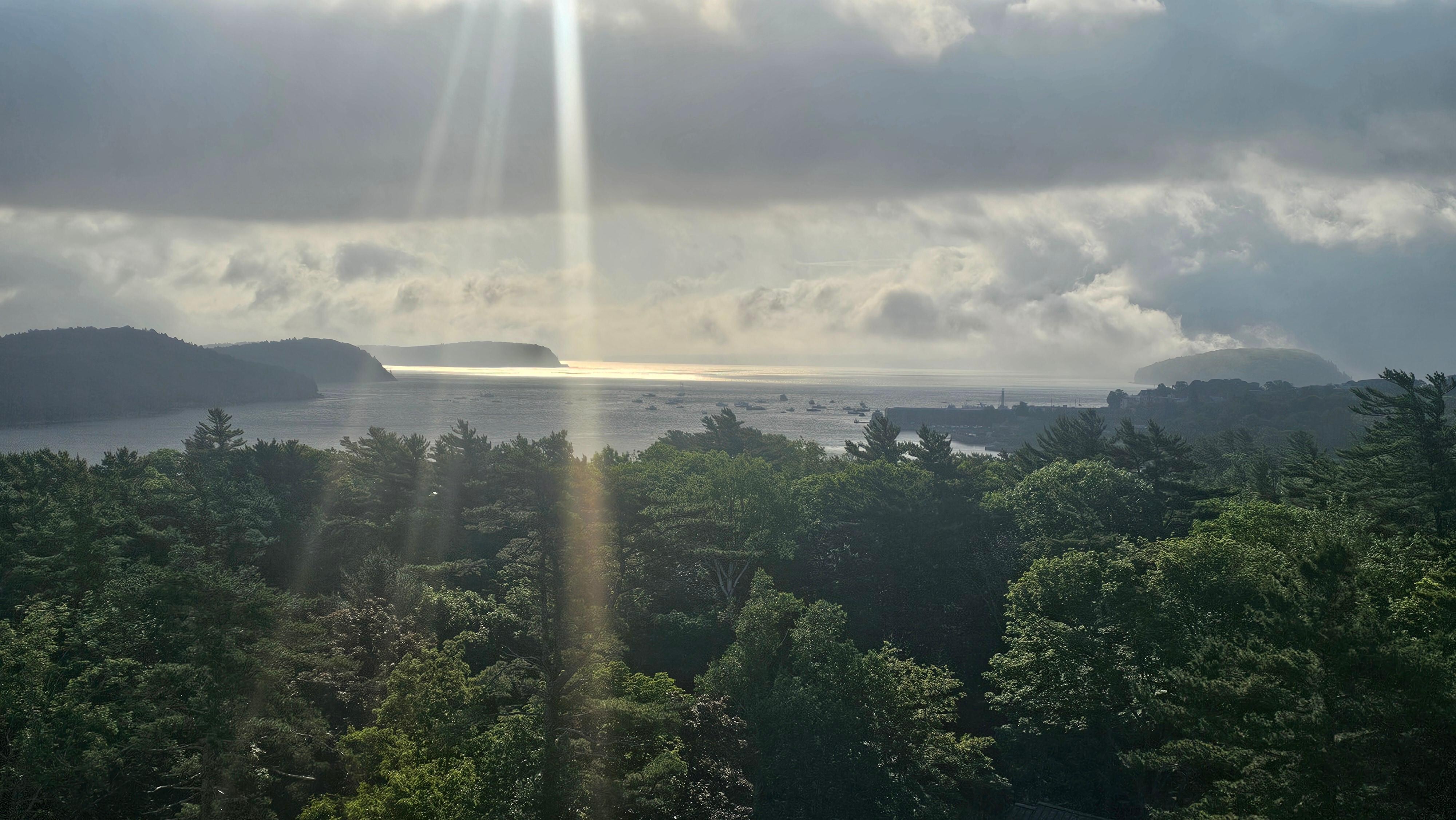 Room View