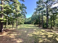 Backyard View !!