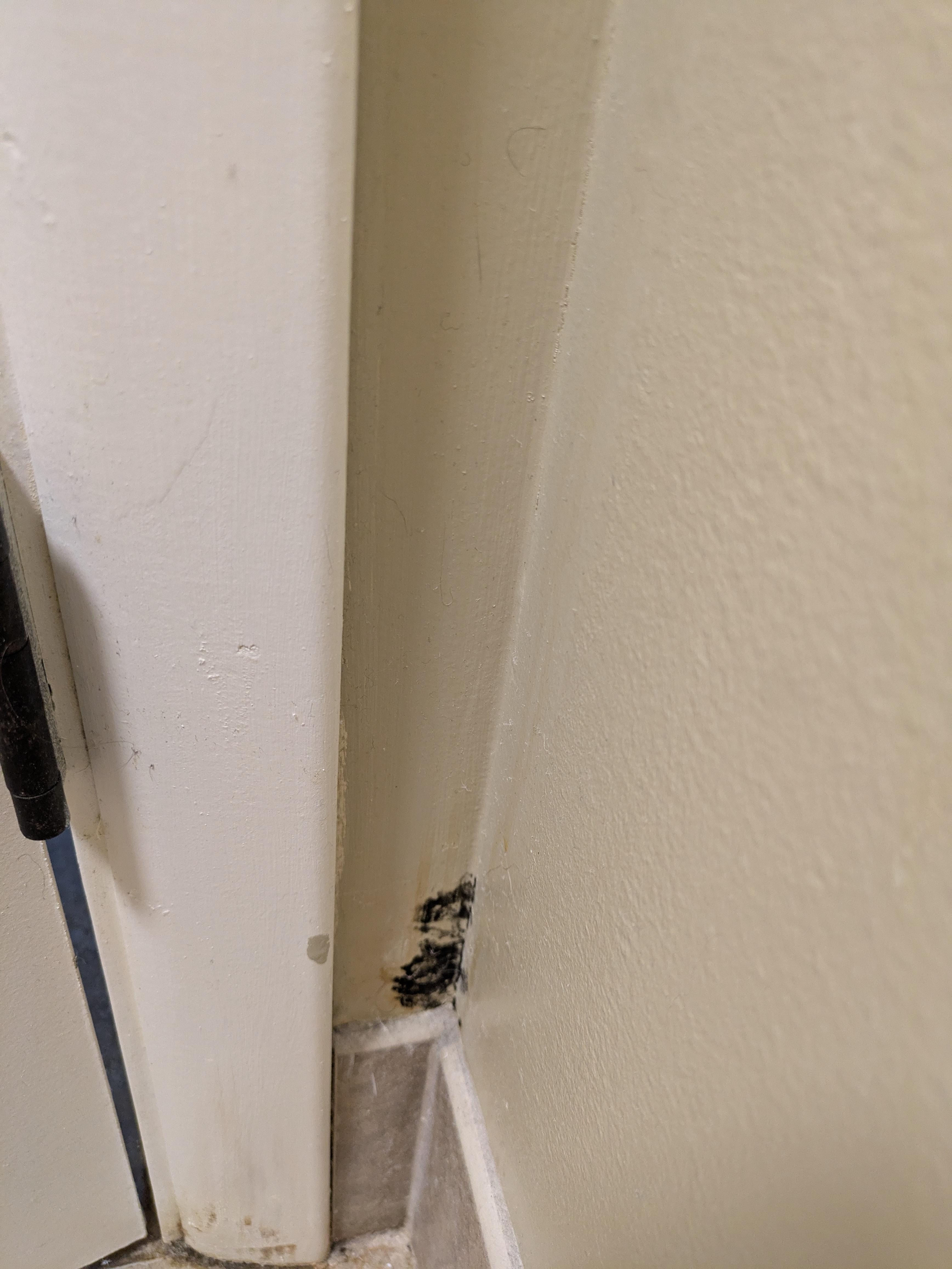 Mold in the bathroom behind the door