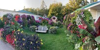 Garden at Sunset Motel