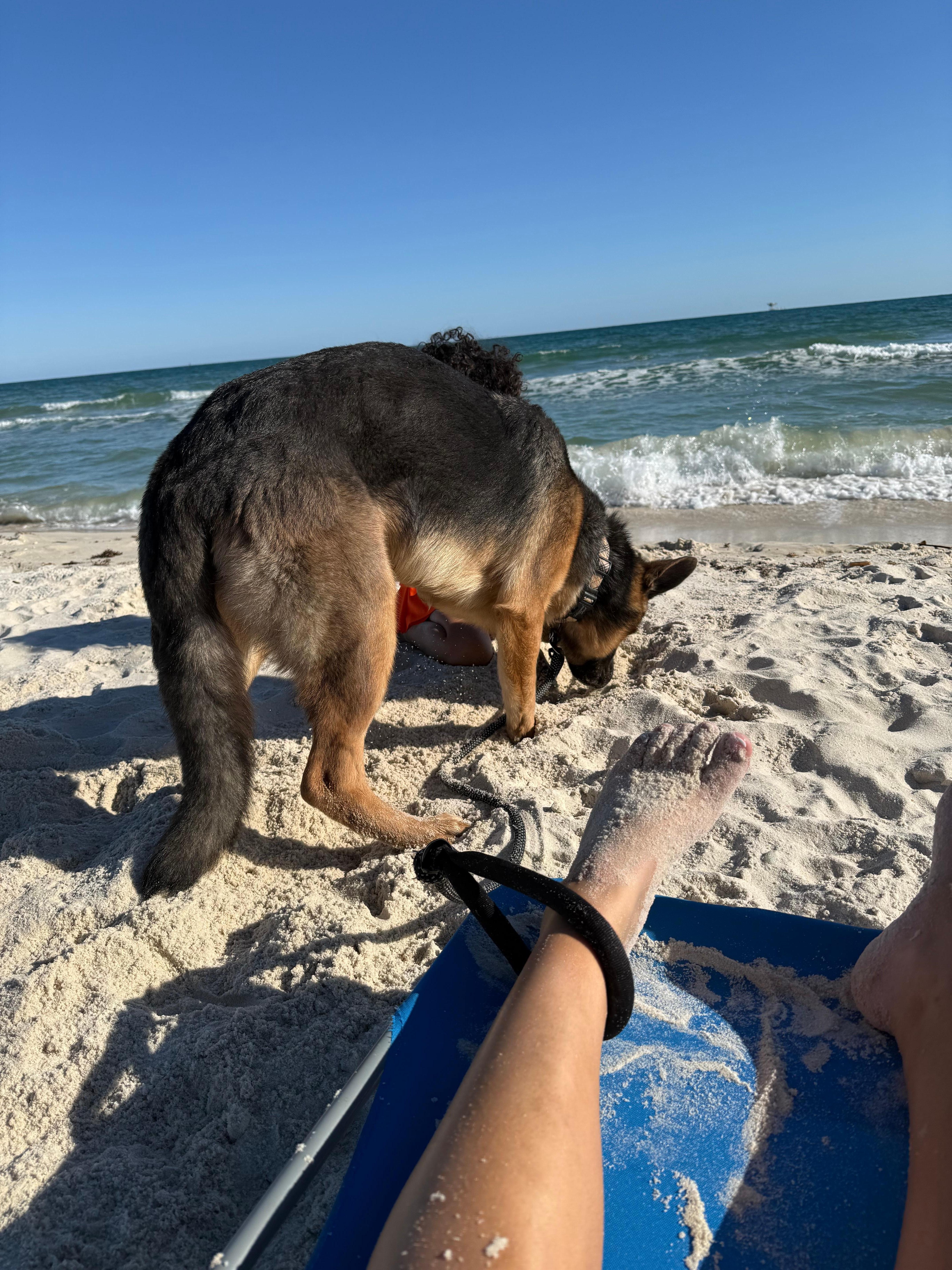 baby girl and our pup at the beach