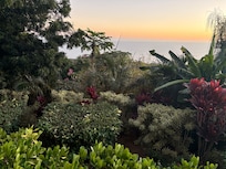 Landscaping seen from deck