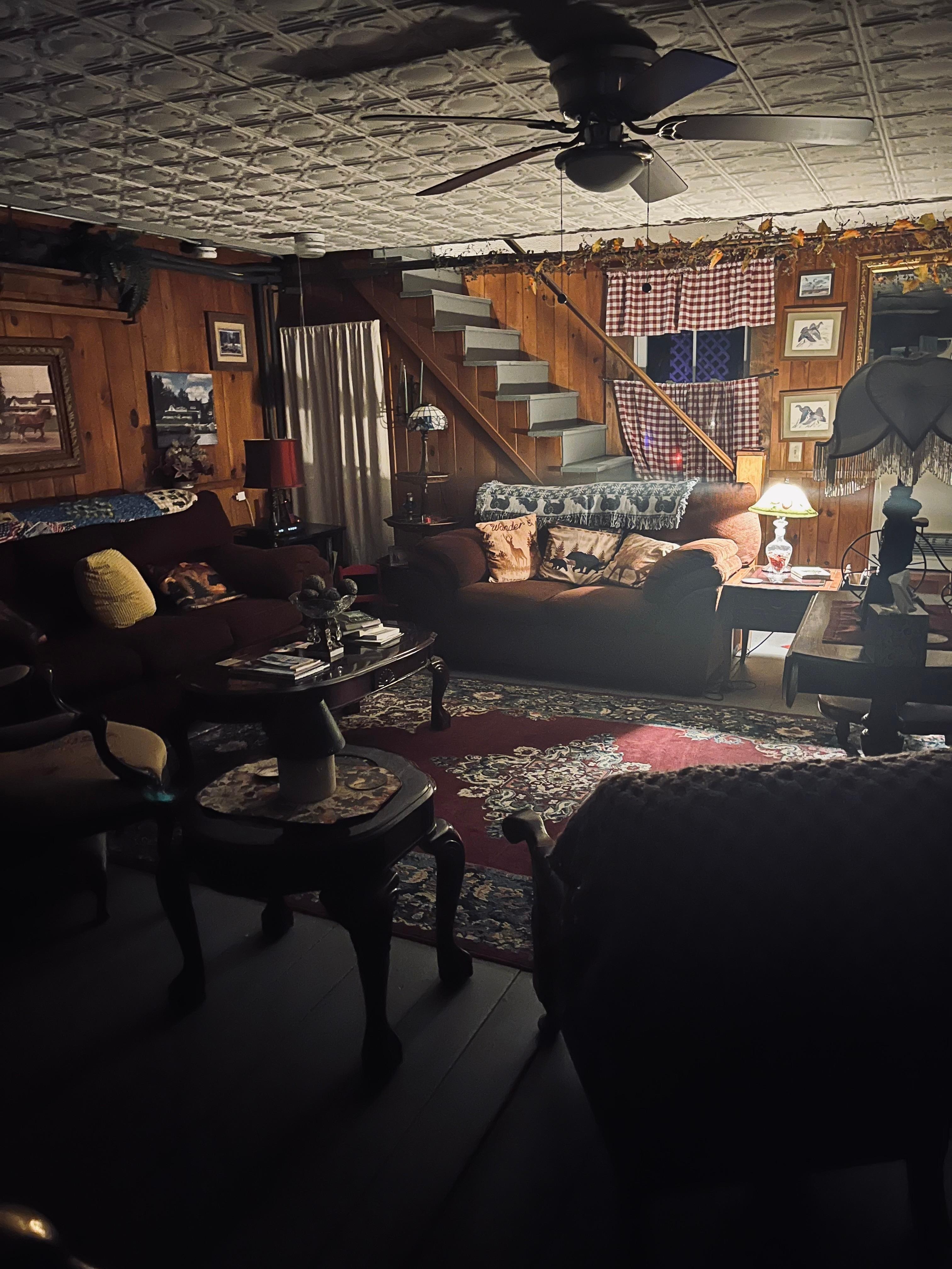 The Paylor has great books and Antiques! 