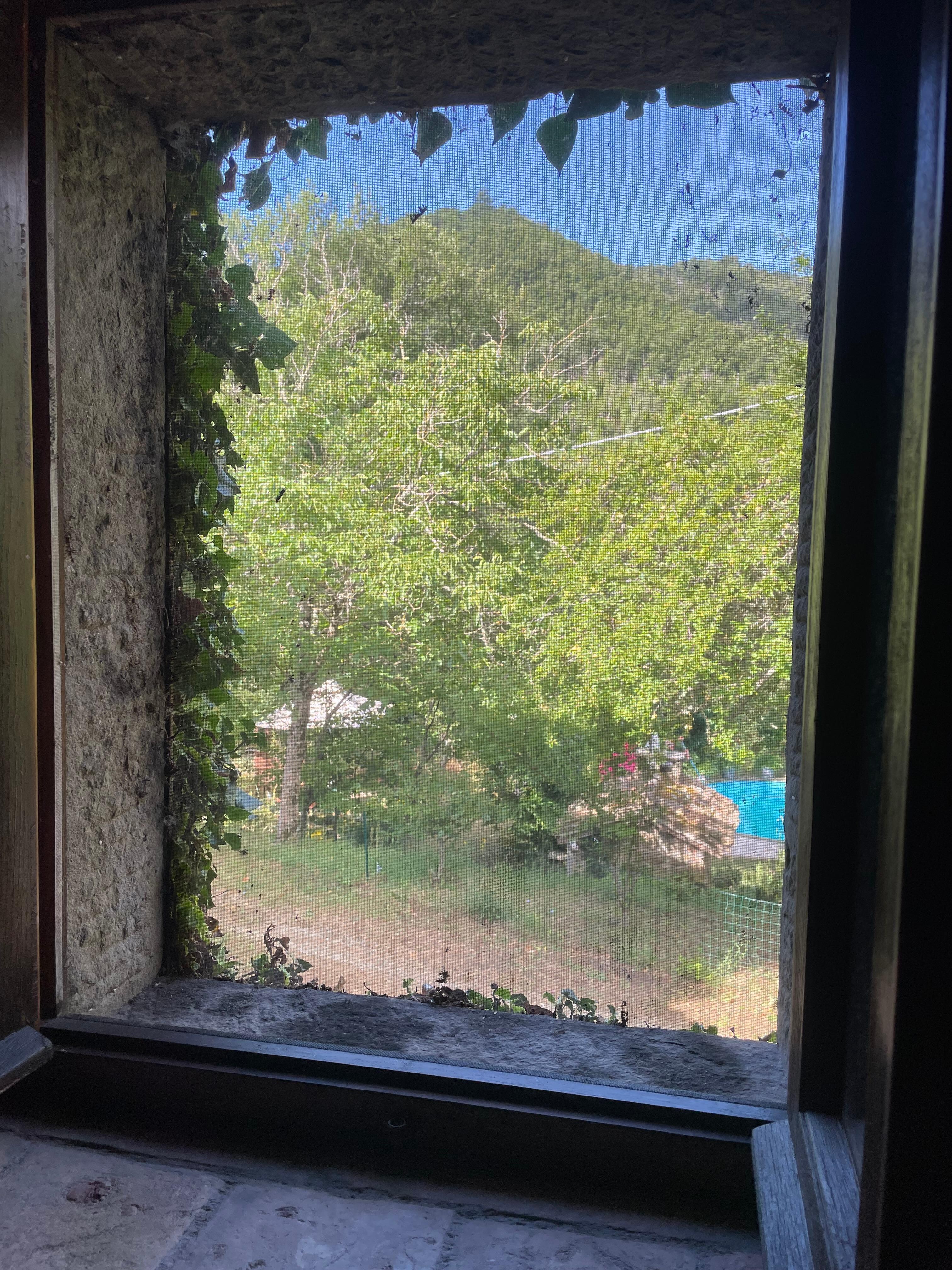 Blick aus dem Schlafzimmer 