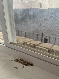 Looking out kitchen window to outside