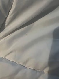 Stained sheets