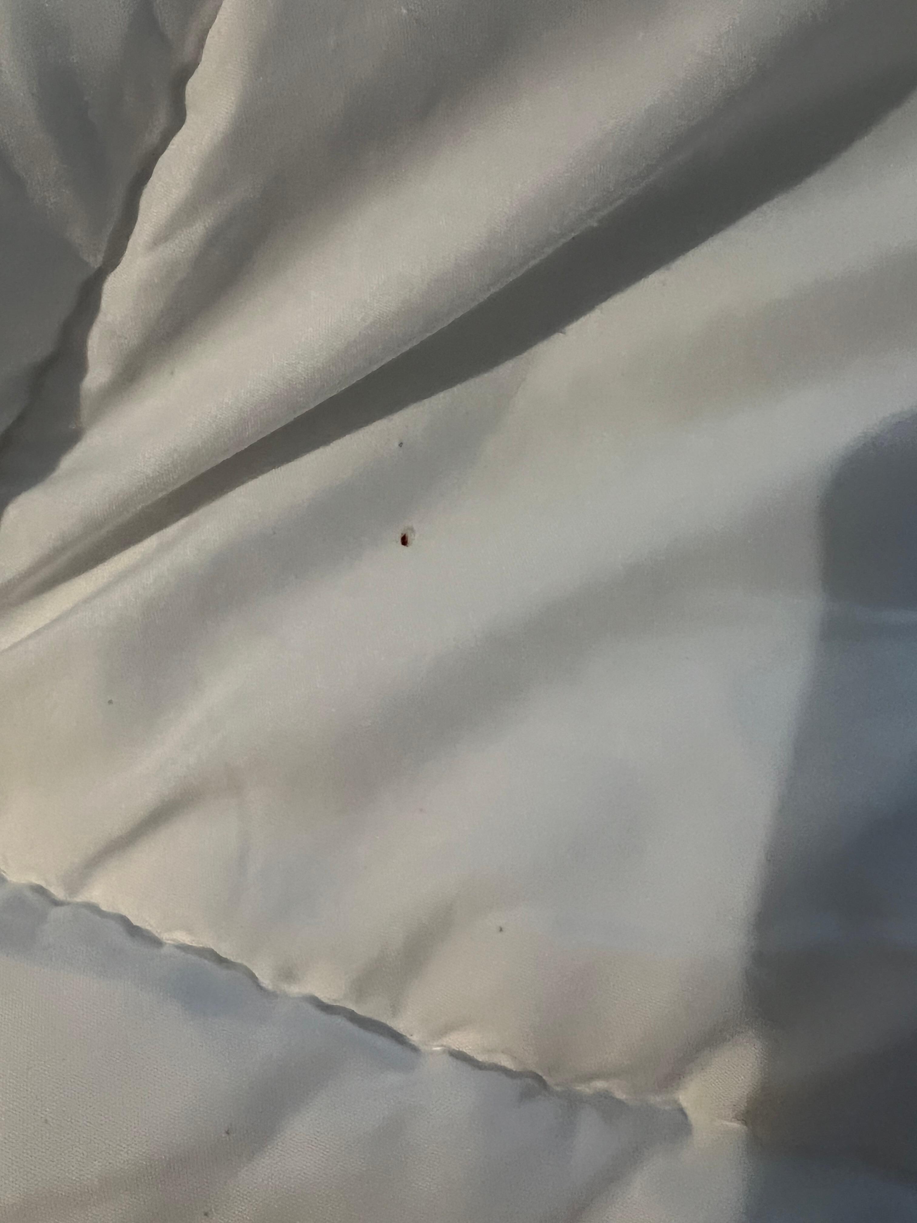 Stained sheets