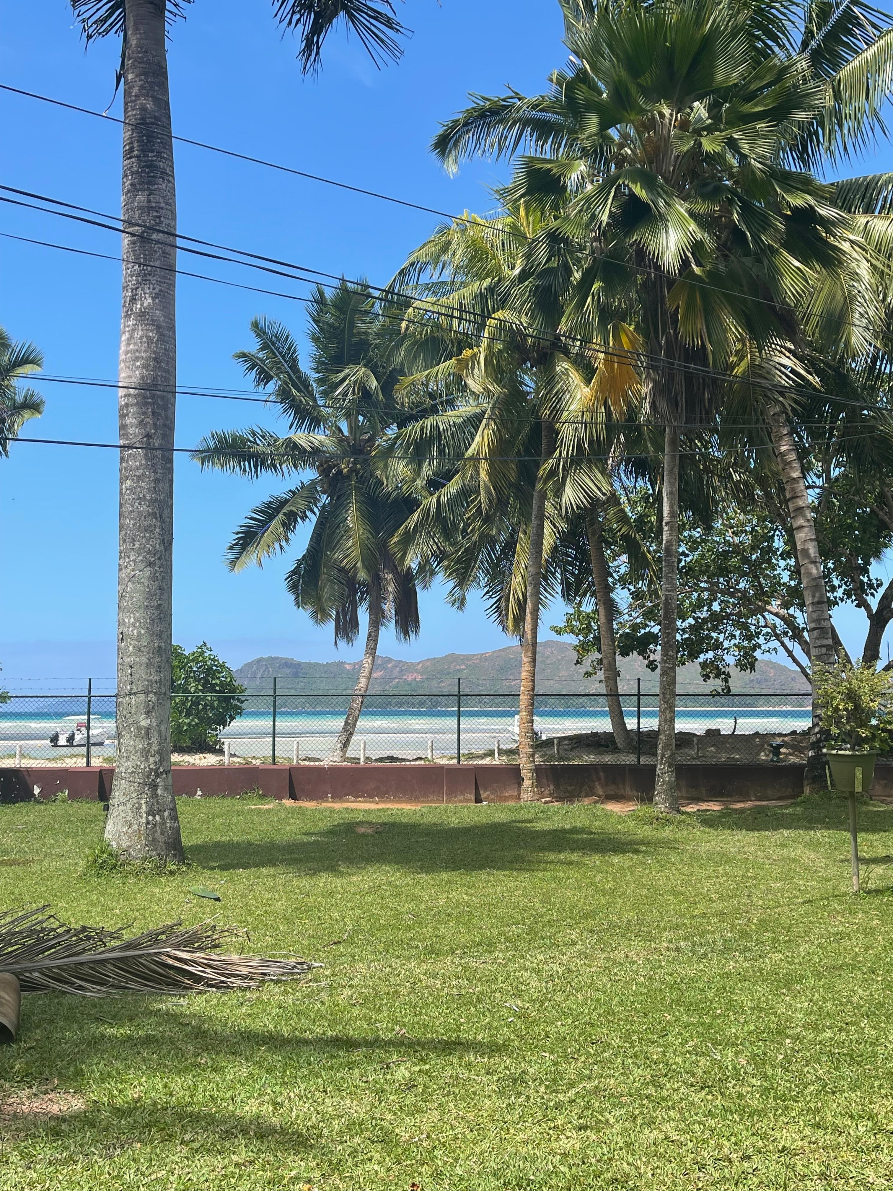 Blick von der großzügigen Terrasse 