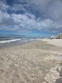 On the beach.