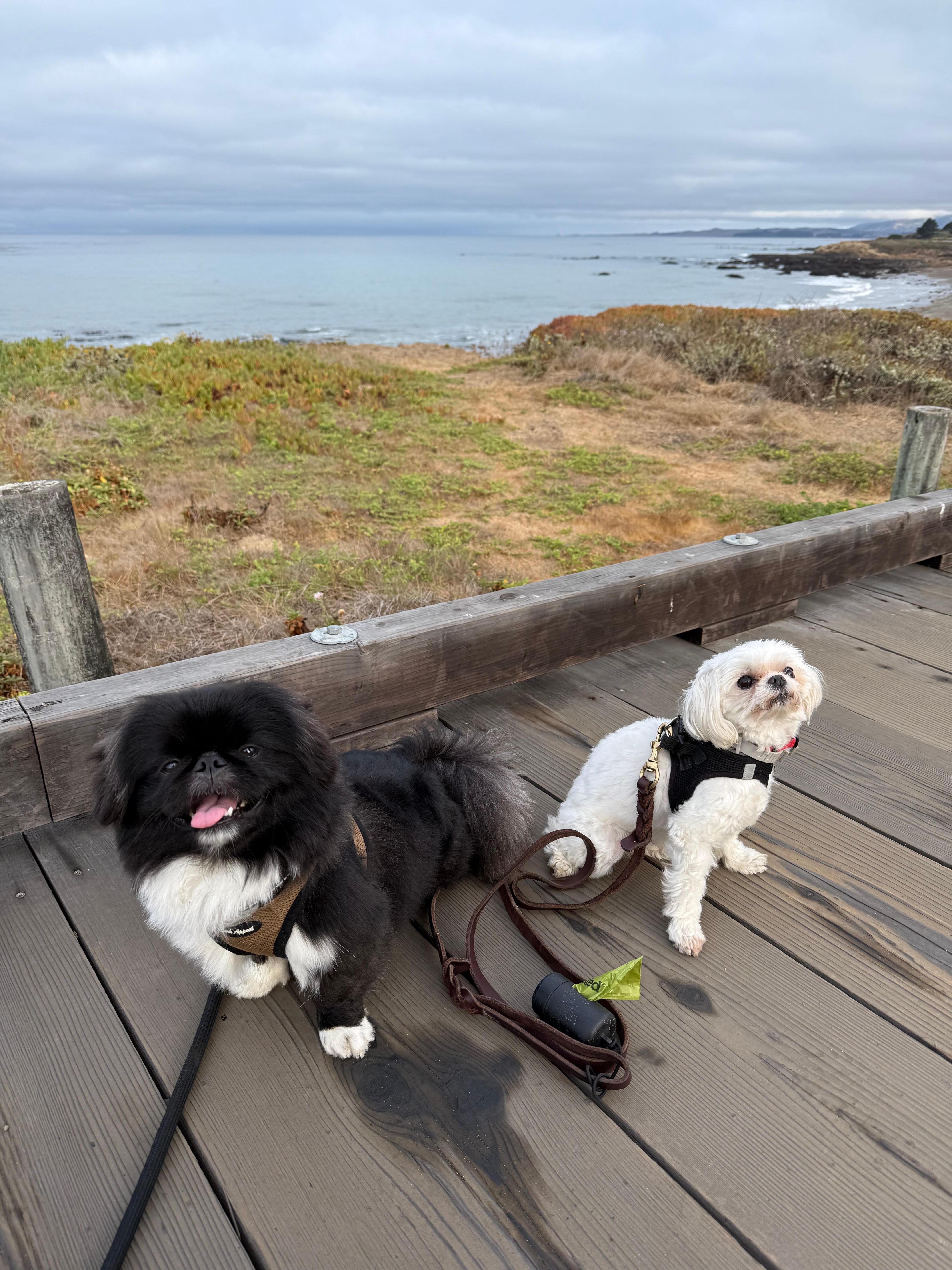 Boardwalk in front of property.