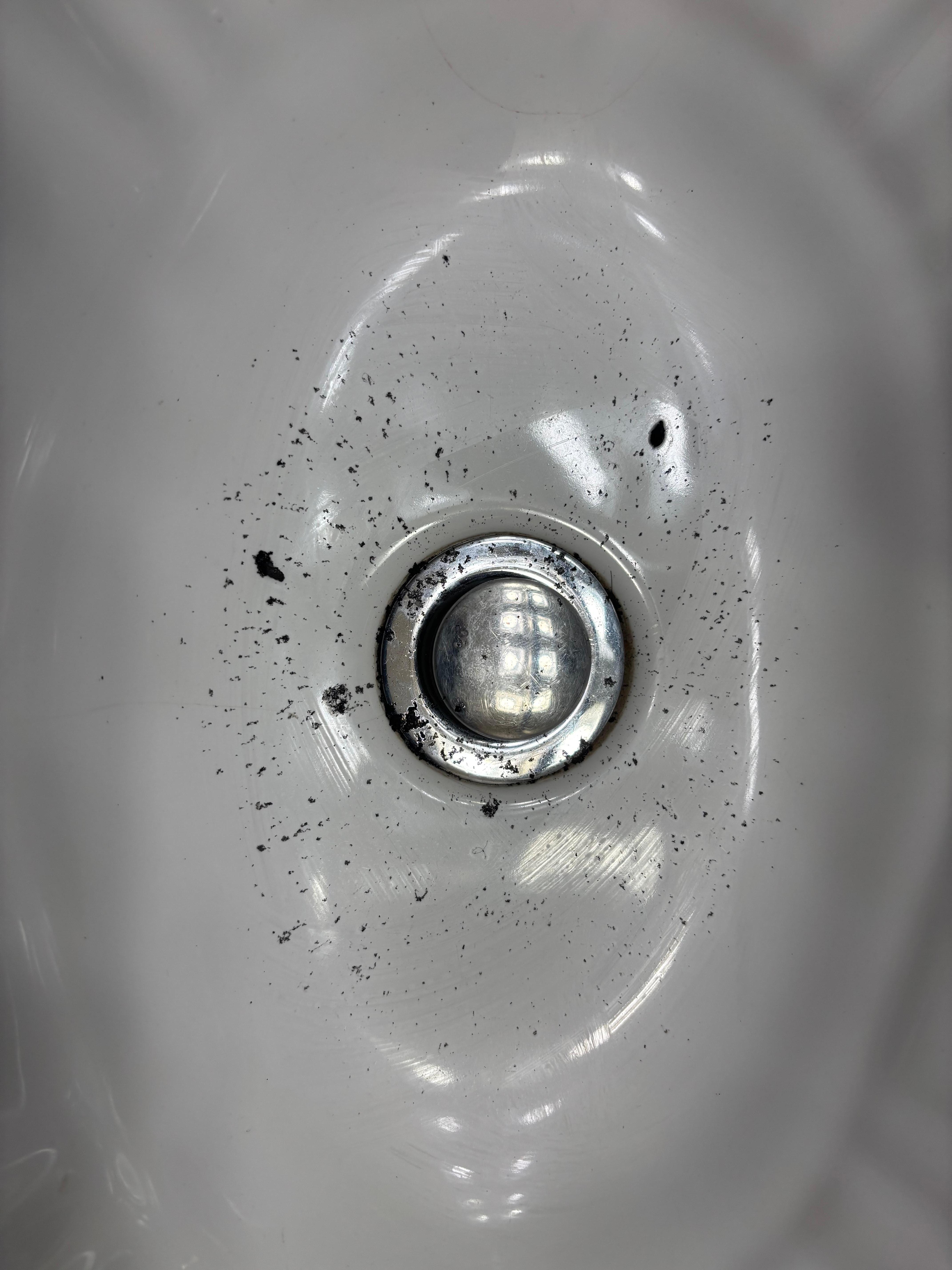 Stuff coming up in sink…