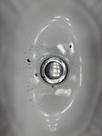 Stuff coming up in sink…