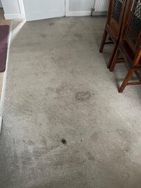 Dining room carpet