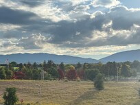 View from patio