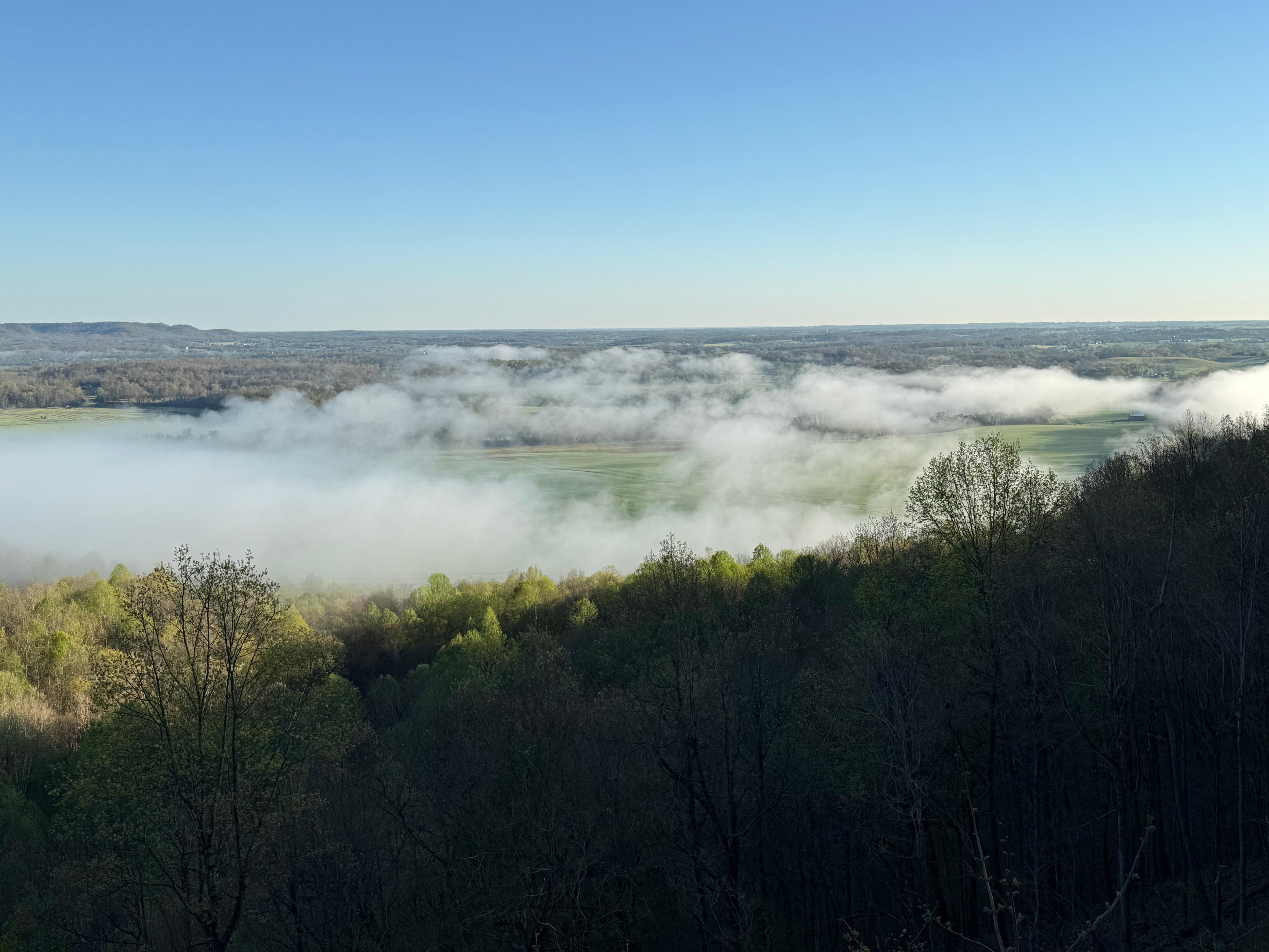View from the back deck on a foggy morning. 