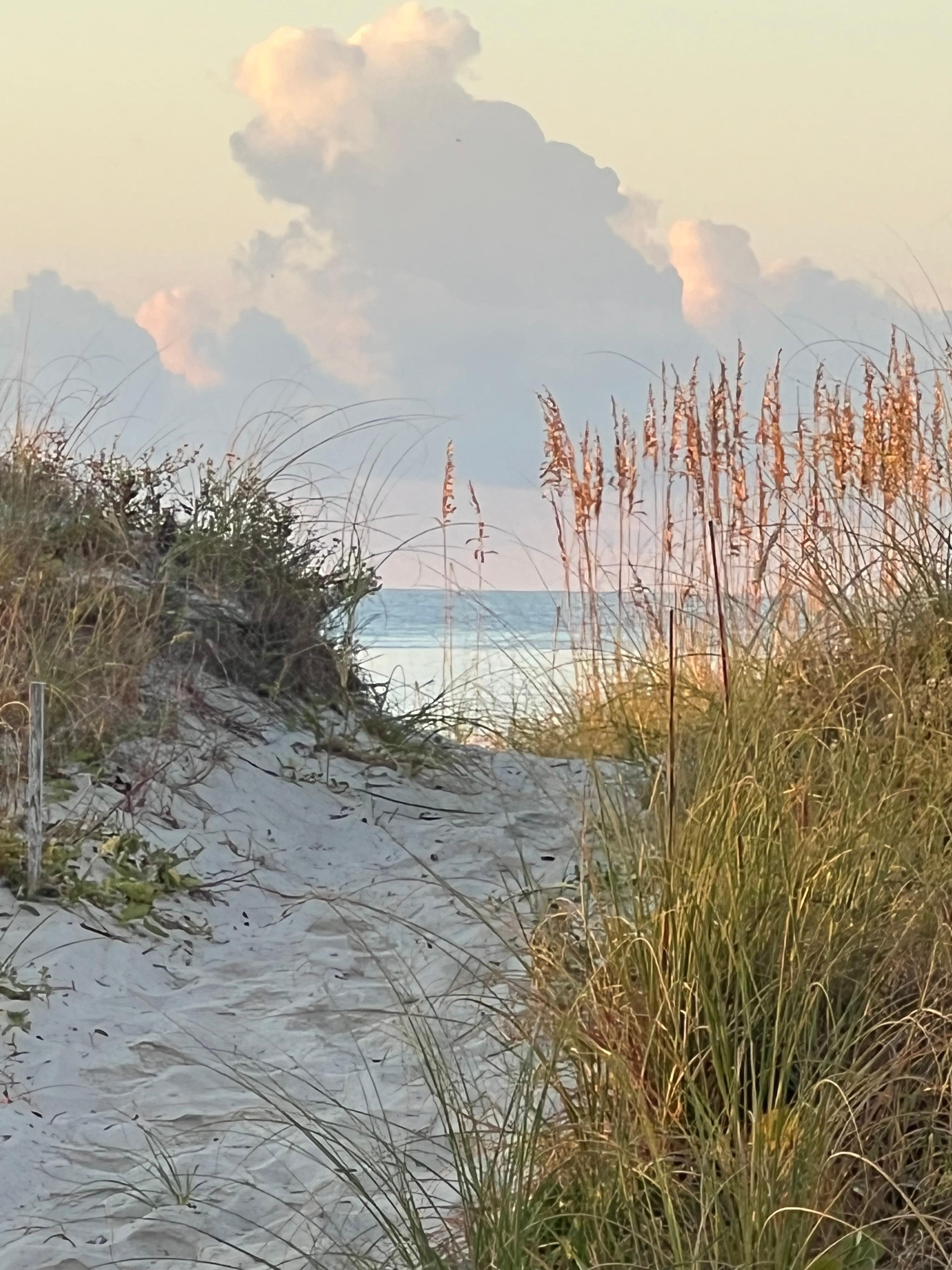 Path to the beach to watch sunrises