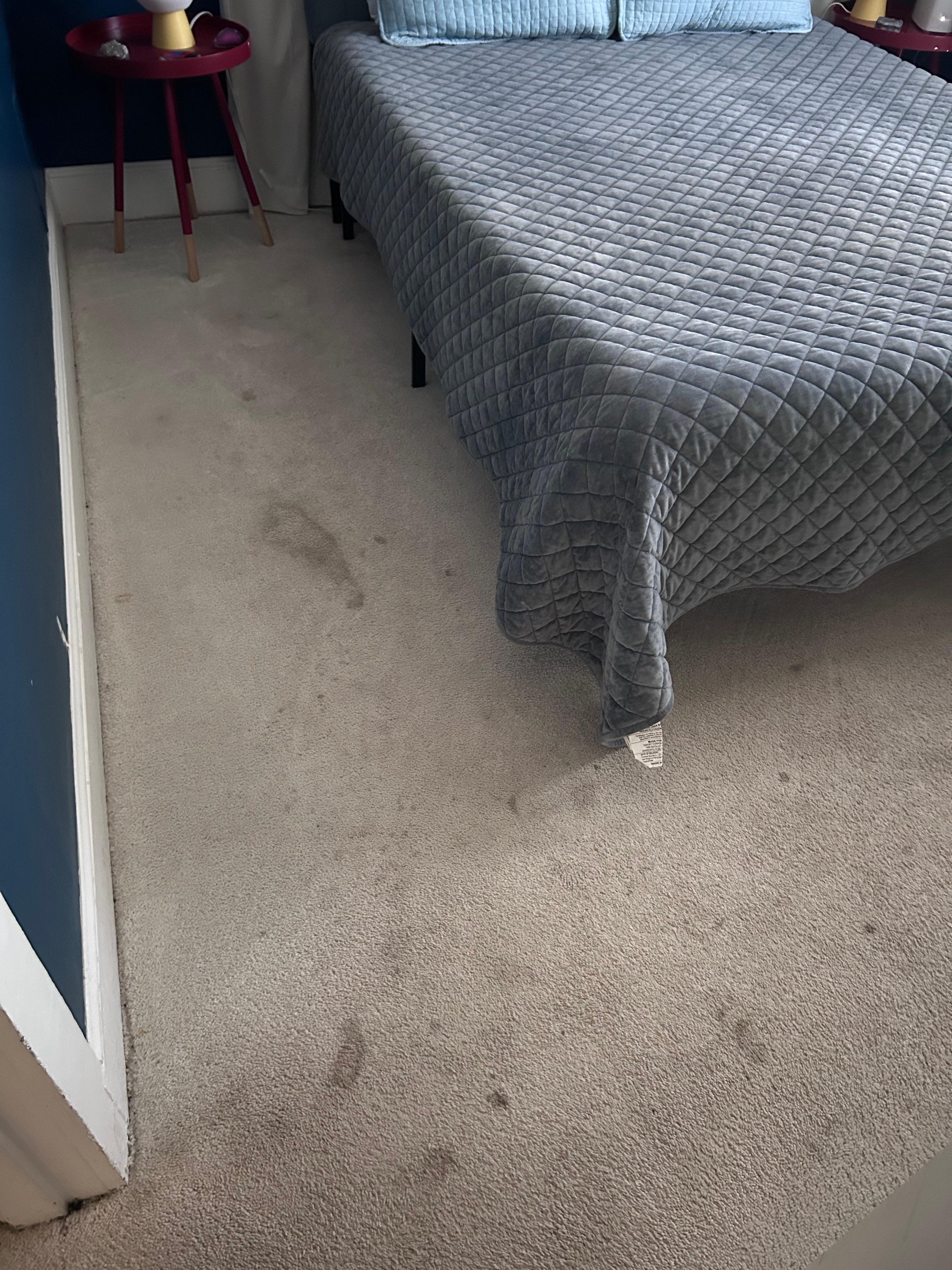 filthy carpet in all bedrooms