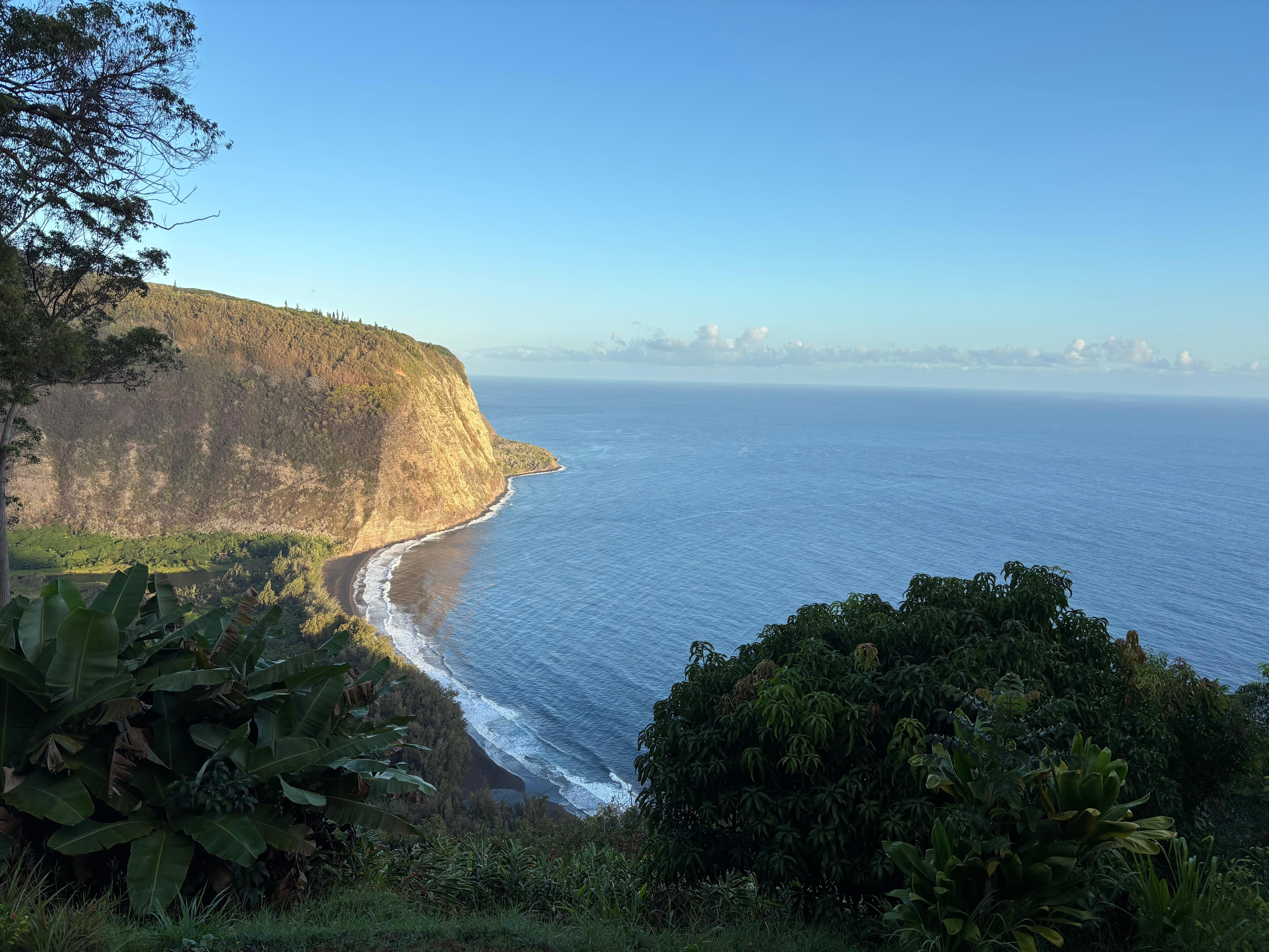 The view from the lanai.