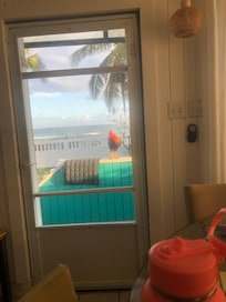 Renaldo the friendly rooster.