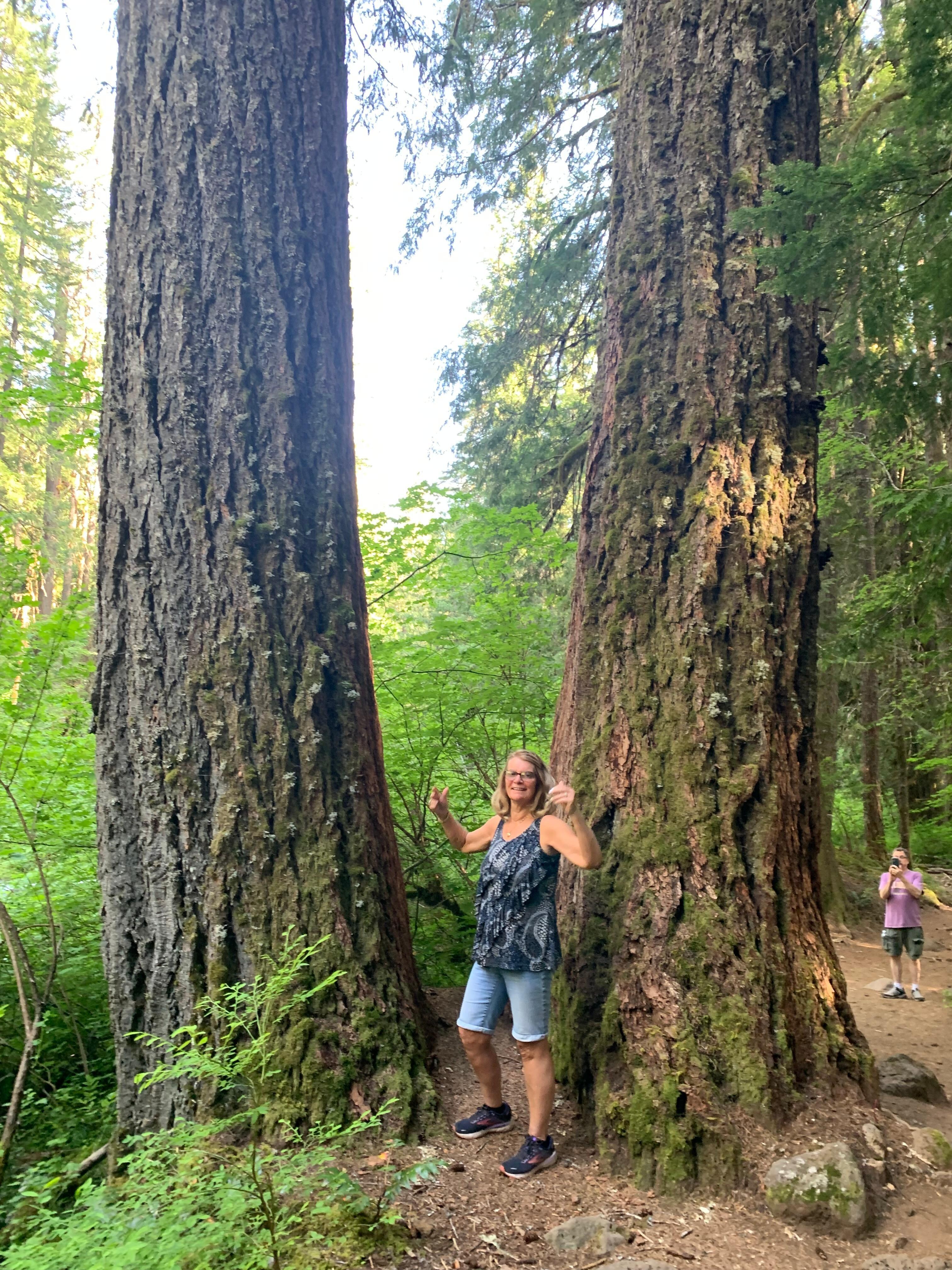 Beautiful hikes