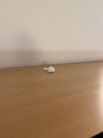Garbage left from previous guests