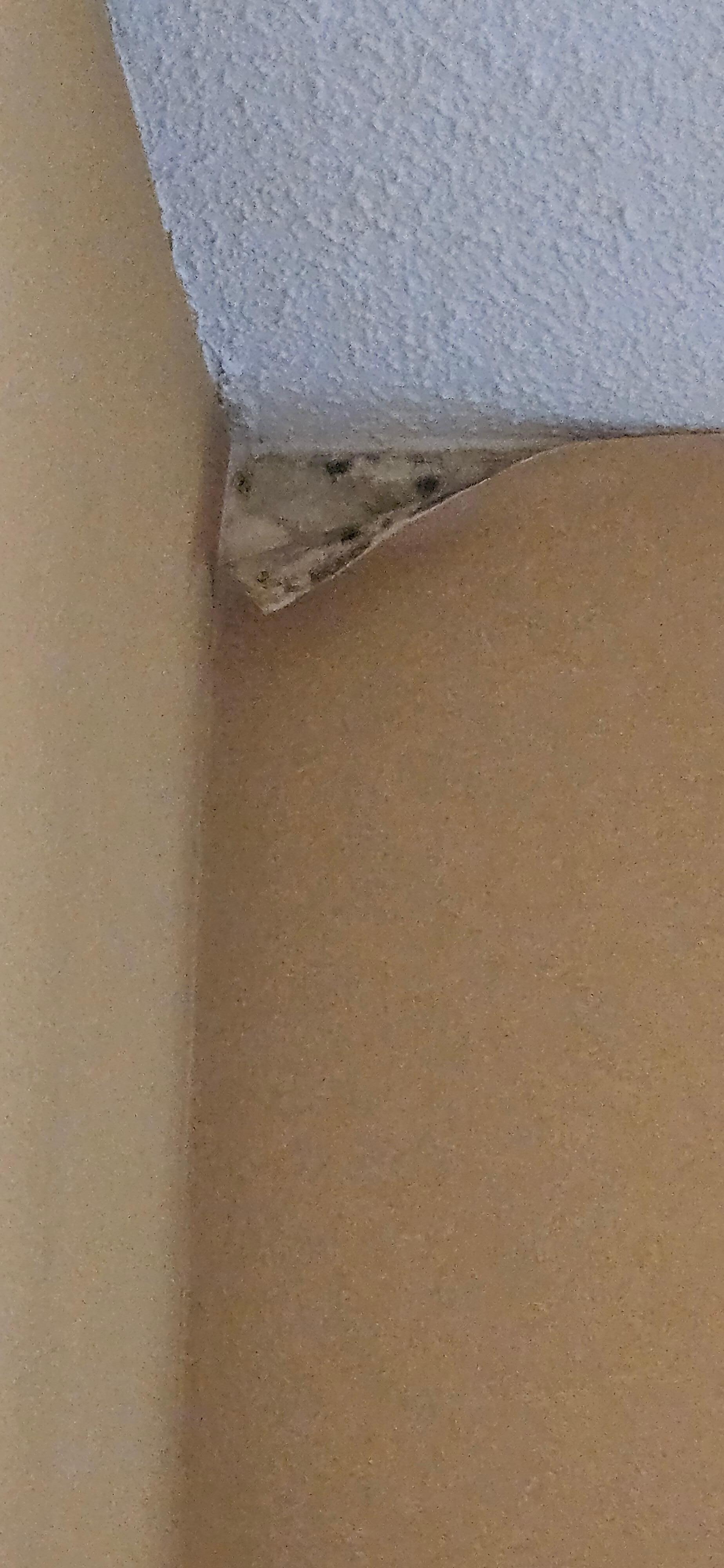 Water damage