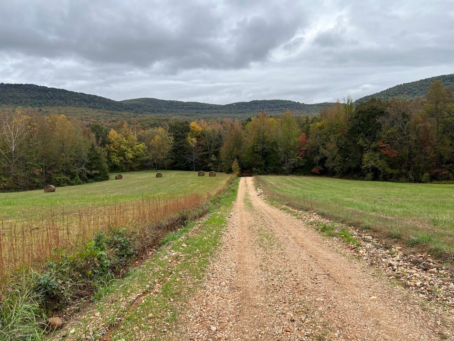 gravel road leading to cabin