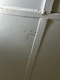Something on the ceiling in the bathroom