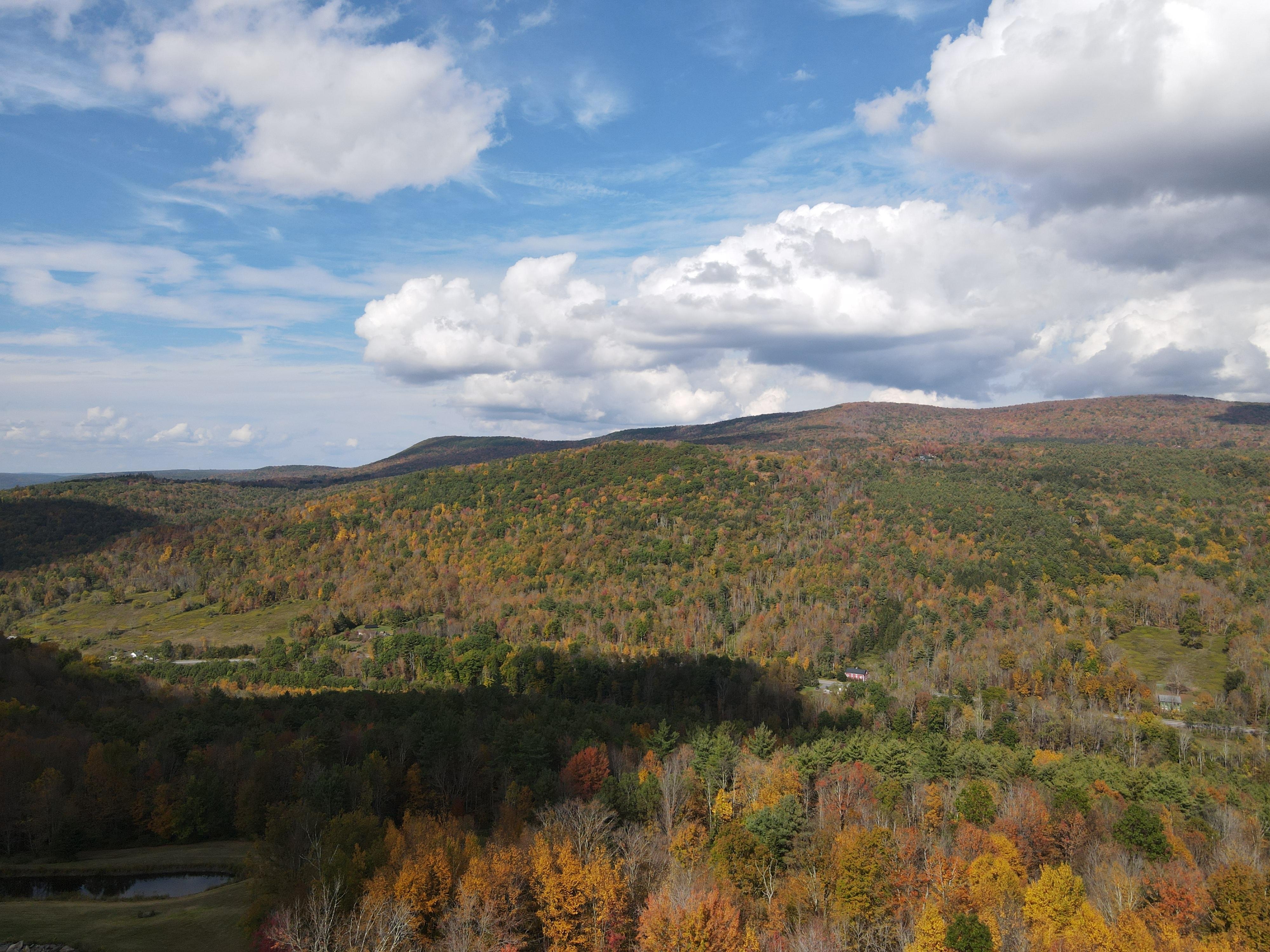Took the drone out for some pics!