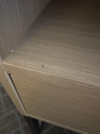 Ants