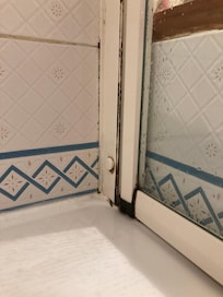 Moisissure prononcee au niveau du bain-douche