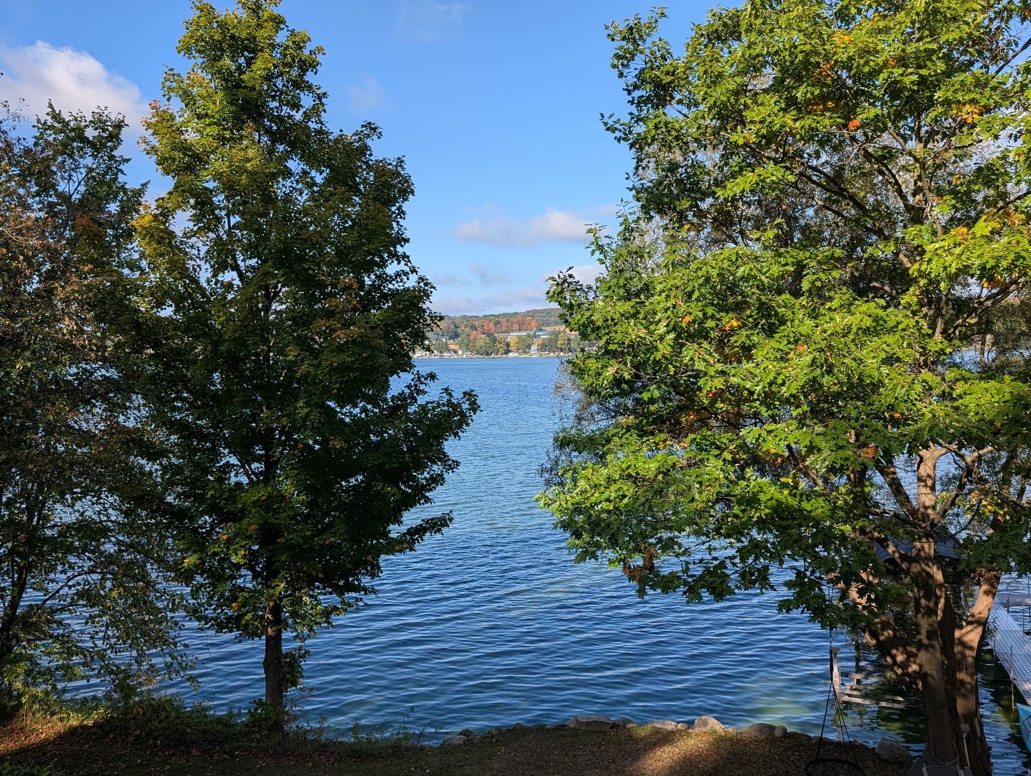 View from back porch