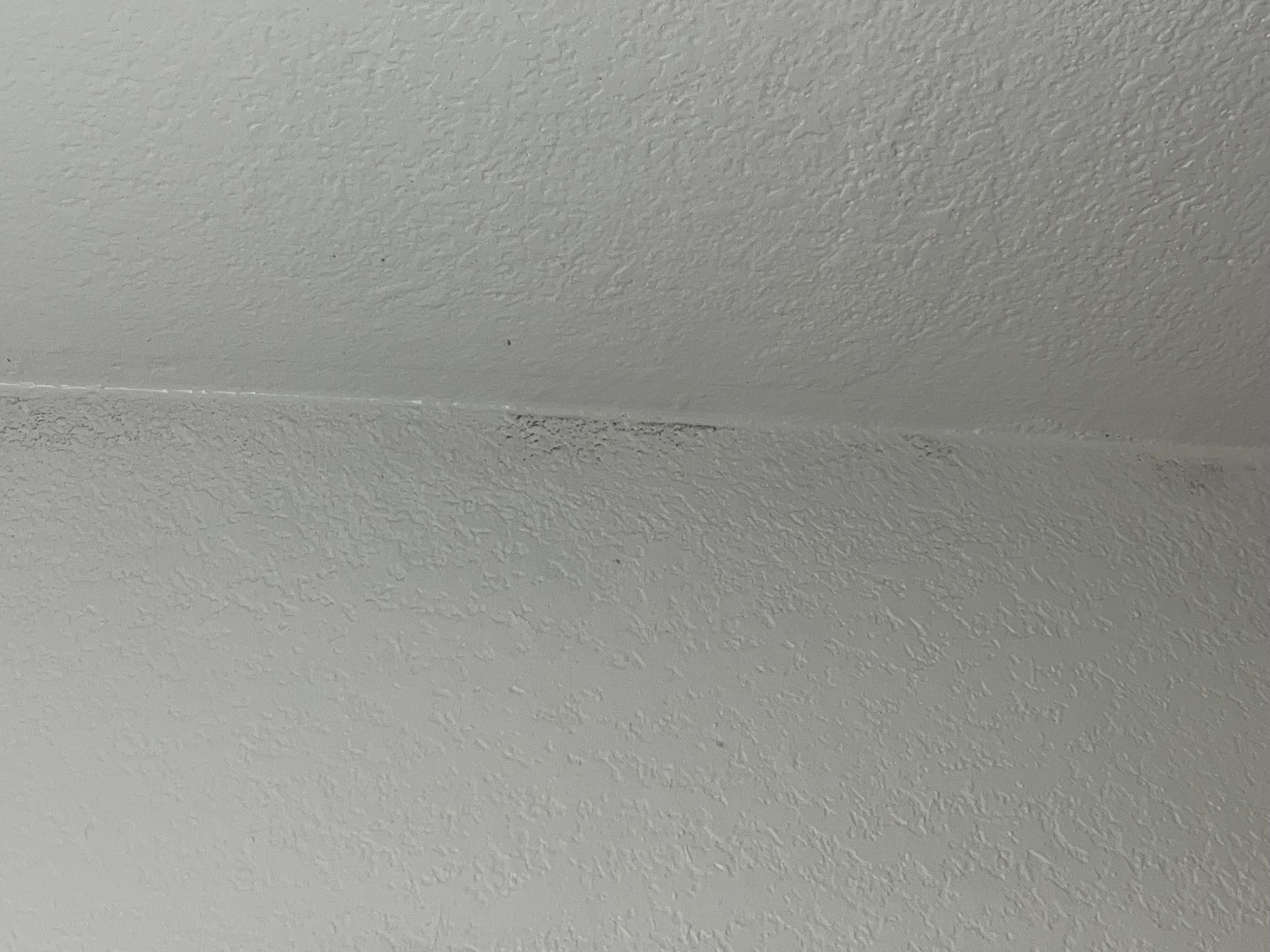 Mold