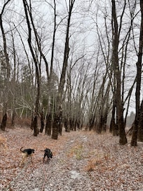 Walking along the Saco River behind the house