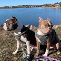 Lake Balboa