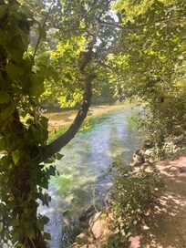 La sorgue et son eau transparente et fraîche