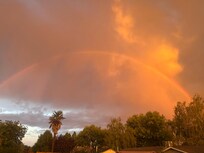 A full rainbow in the backyard.