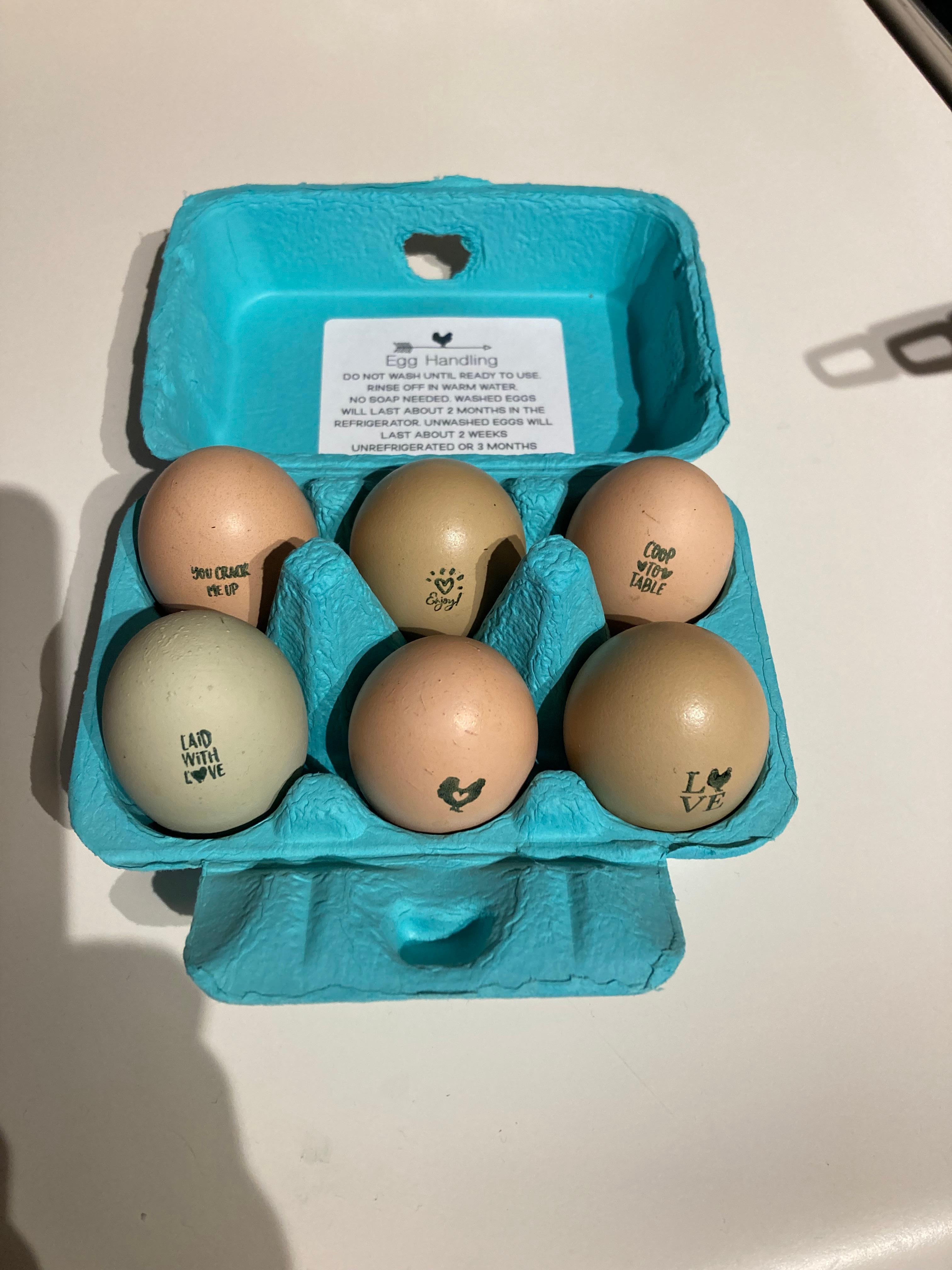 Fresh eggs from host’s chickens 