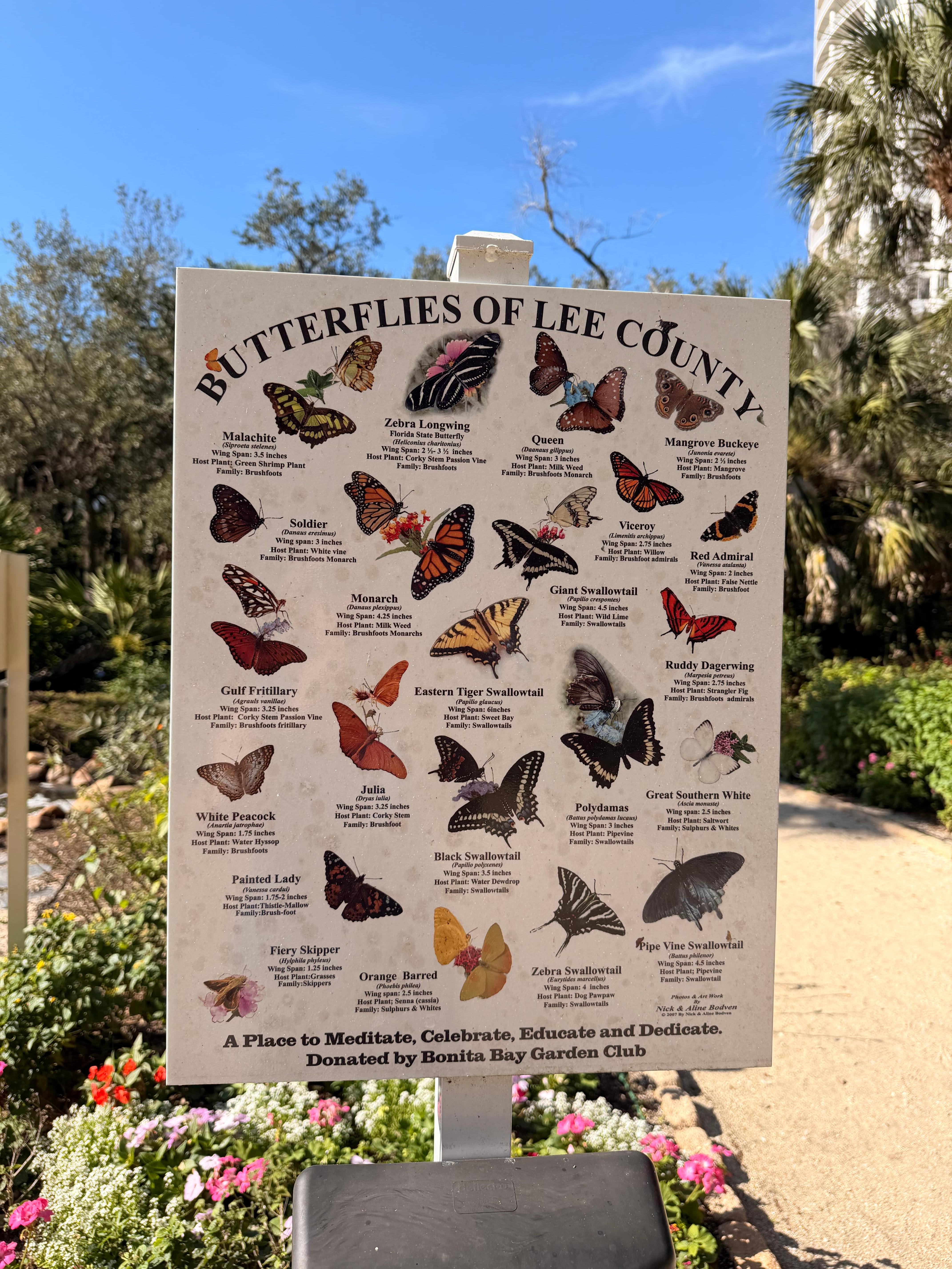 Butterfly garden