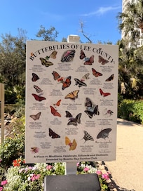 Butterfly garden