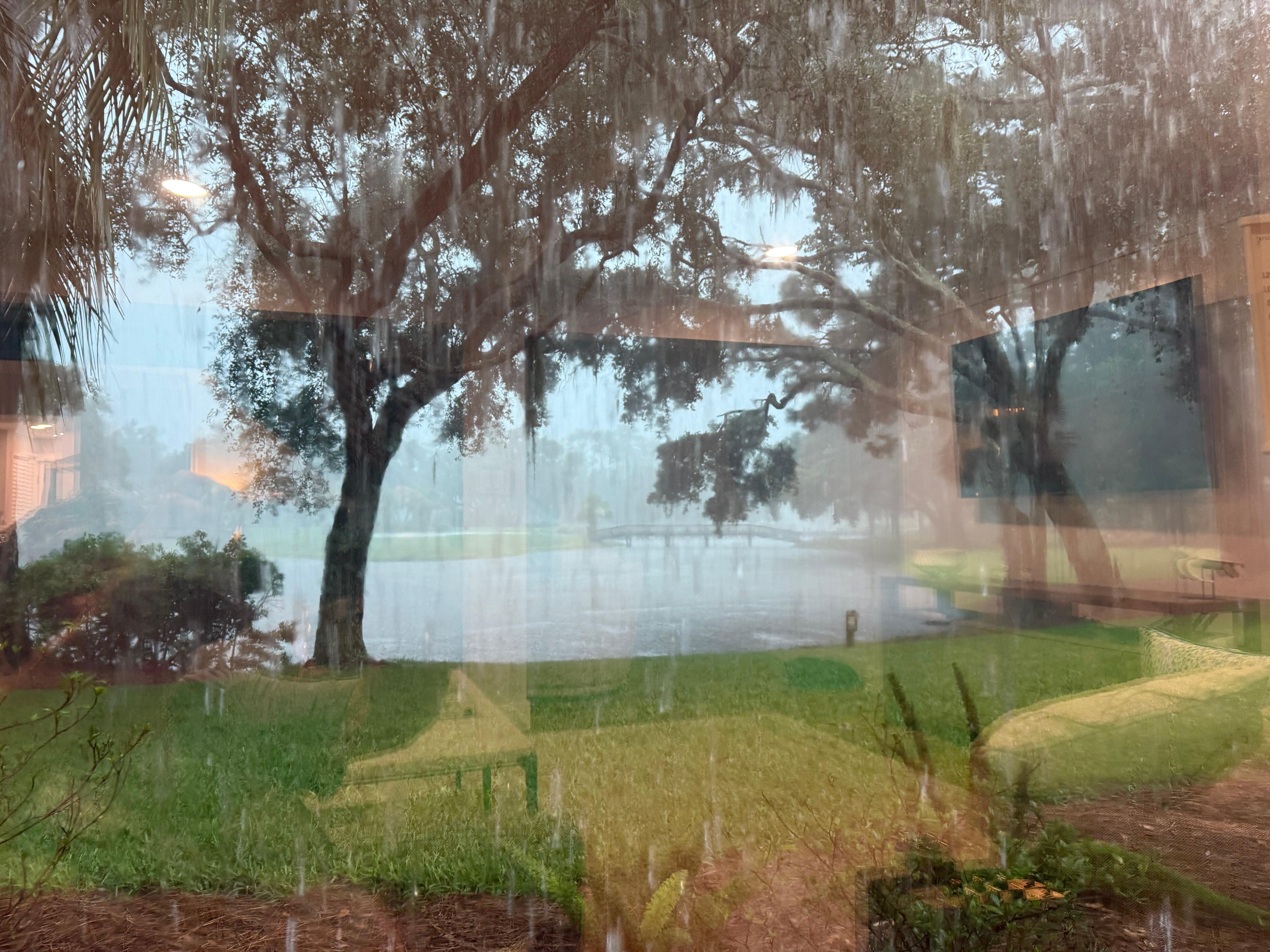 Scenic rainstorm out back