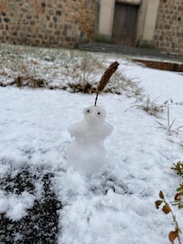 Mini Schneemann gebaut😅