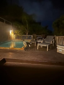 Goat came down for a night cap