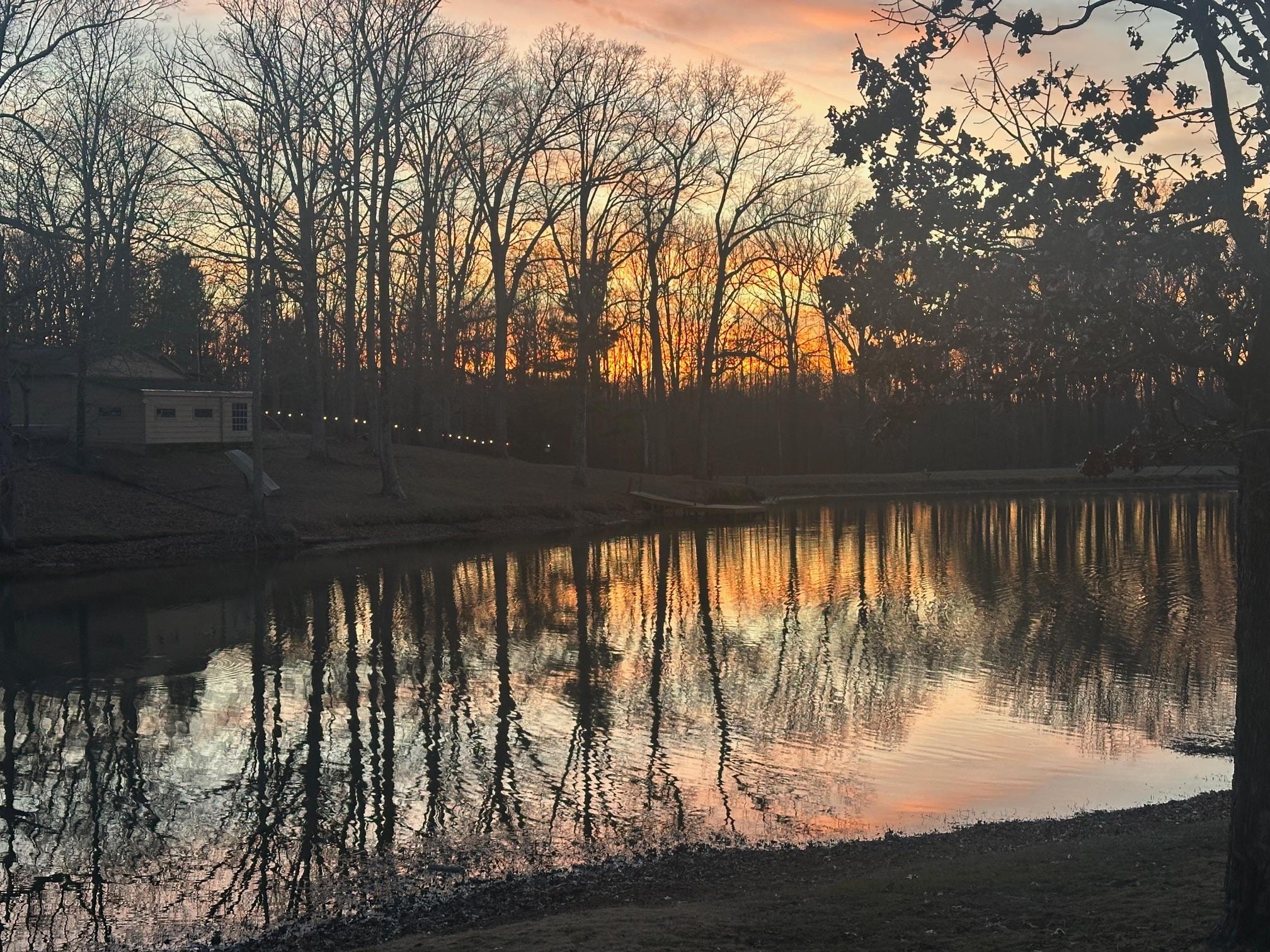 View from the porch!