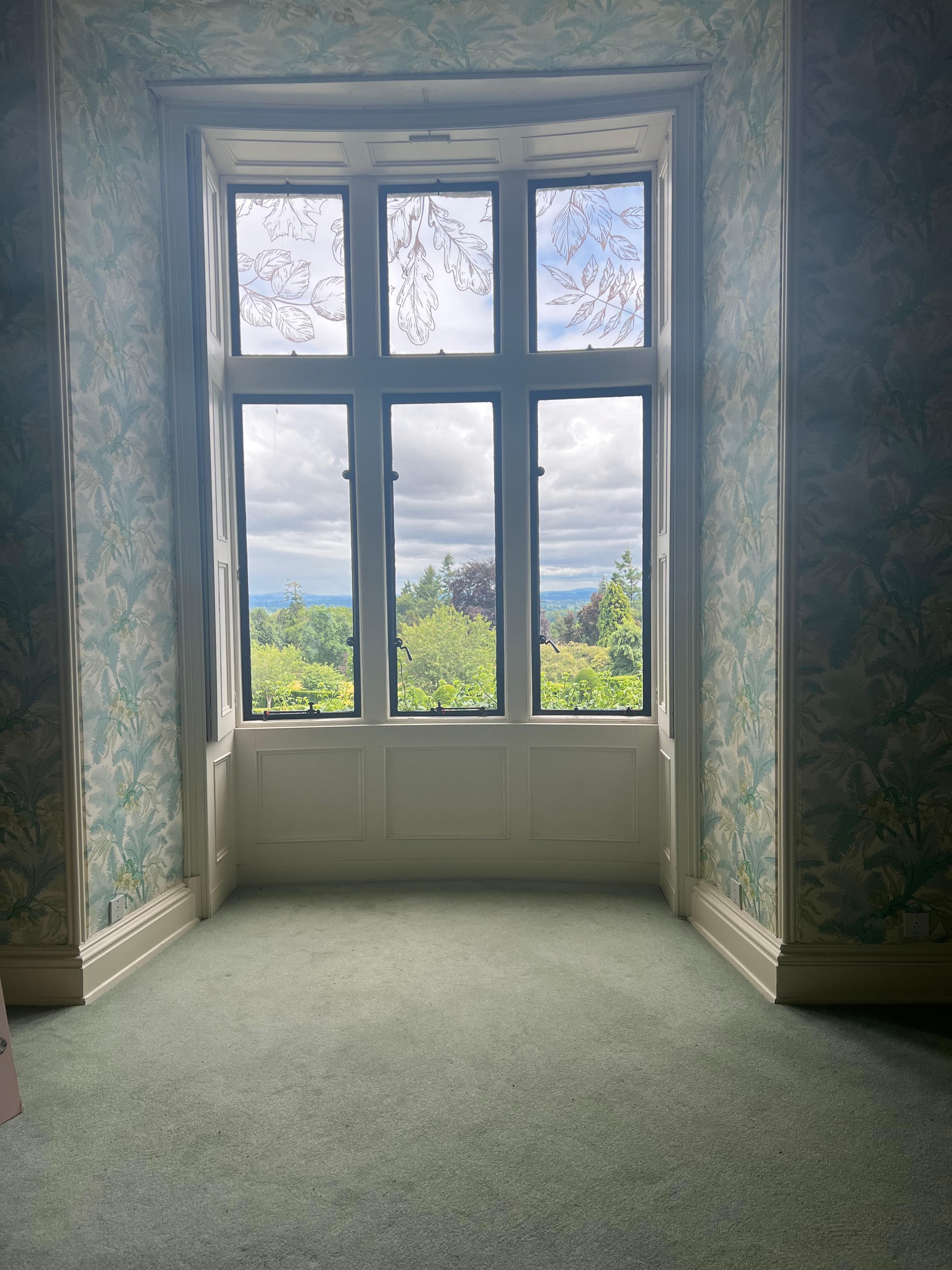  View through the window.