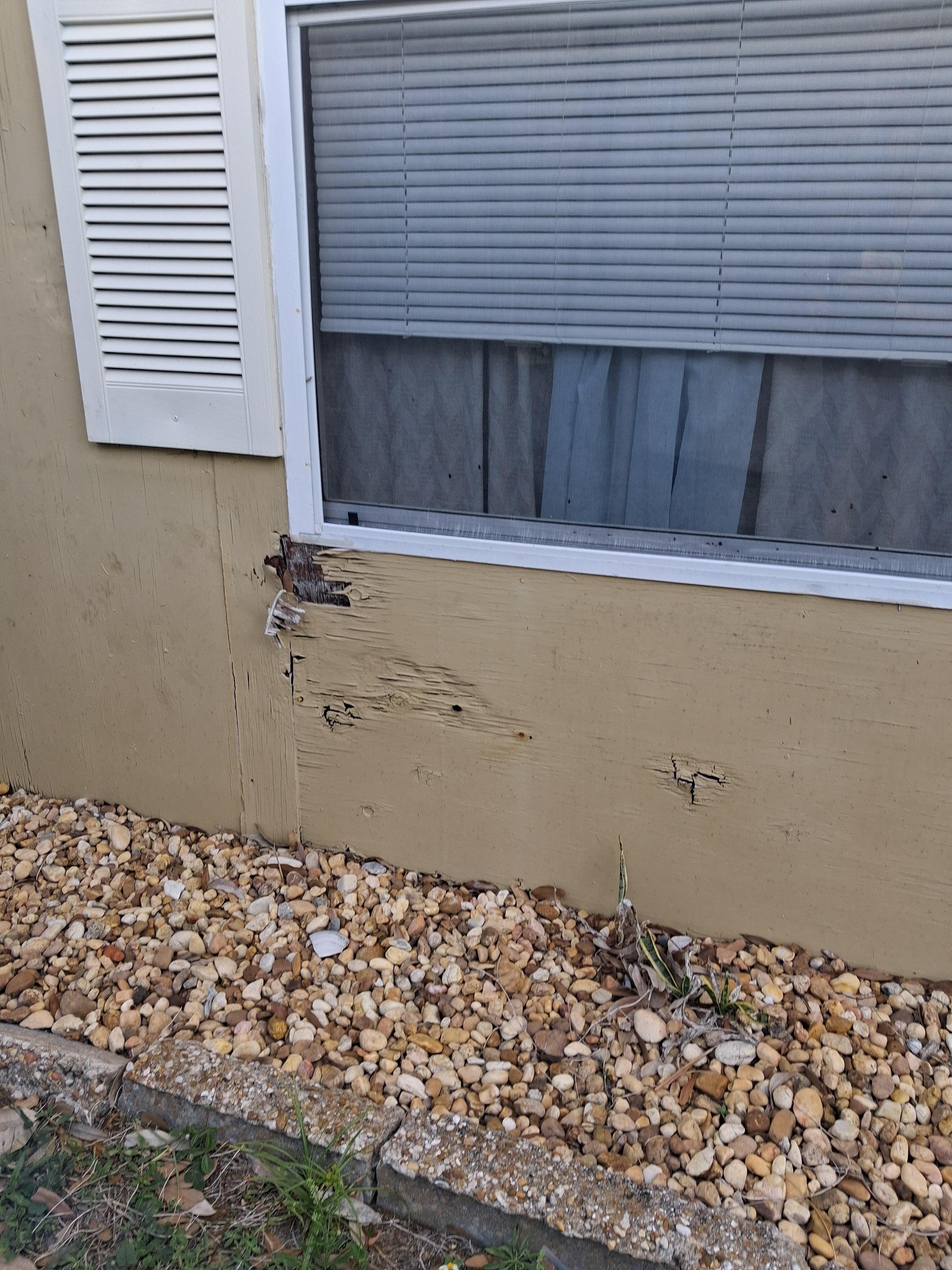 Outside wall by master bedroom 