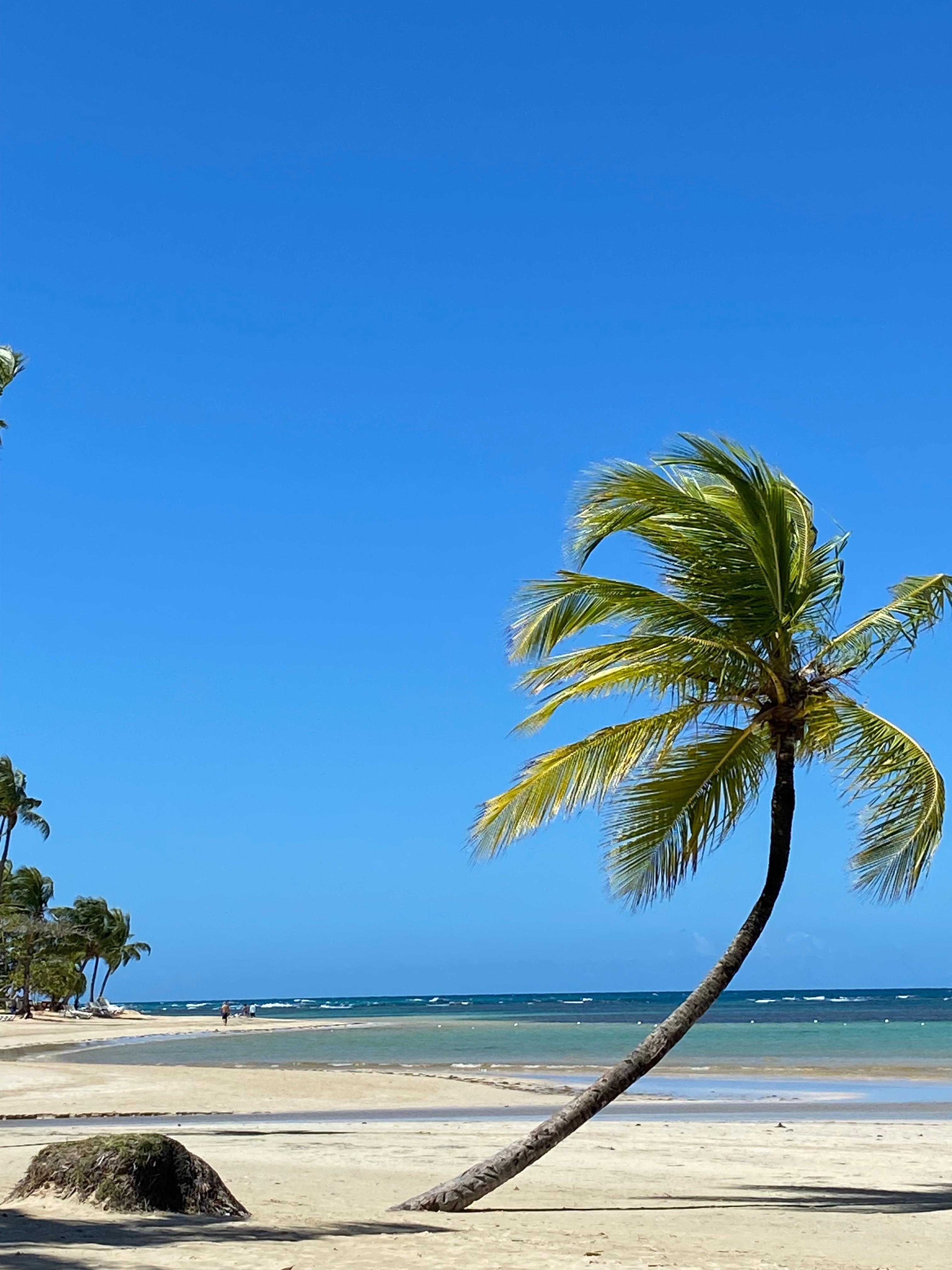 The local beach was heavenly ...