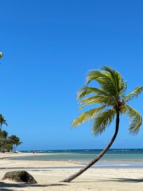 The local beach was heavenly ...