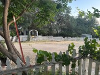 View from the patio